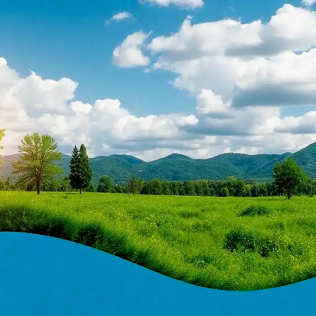 Çevre Danışmanlığı