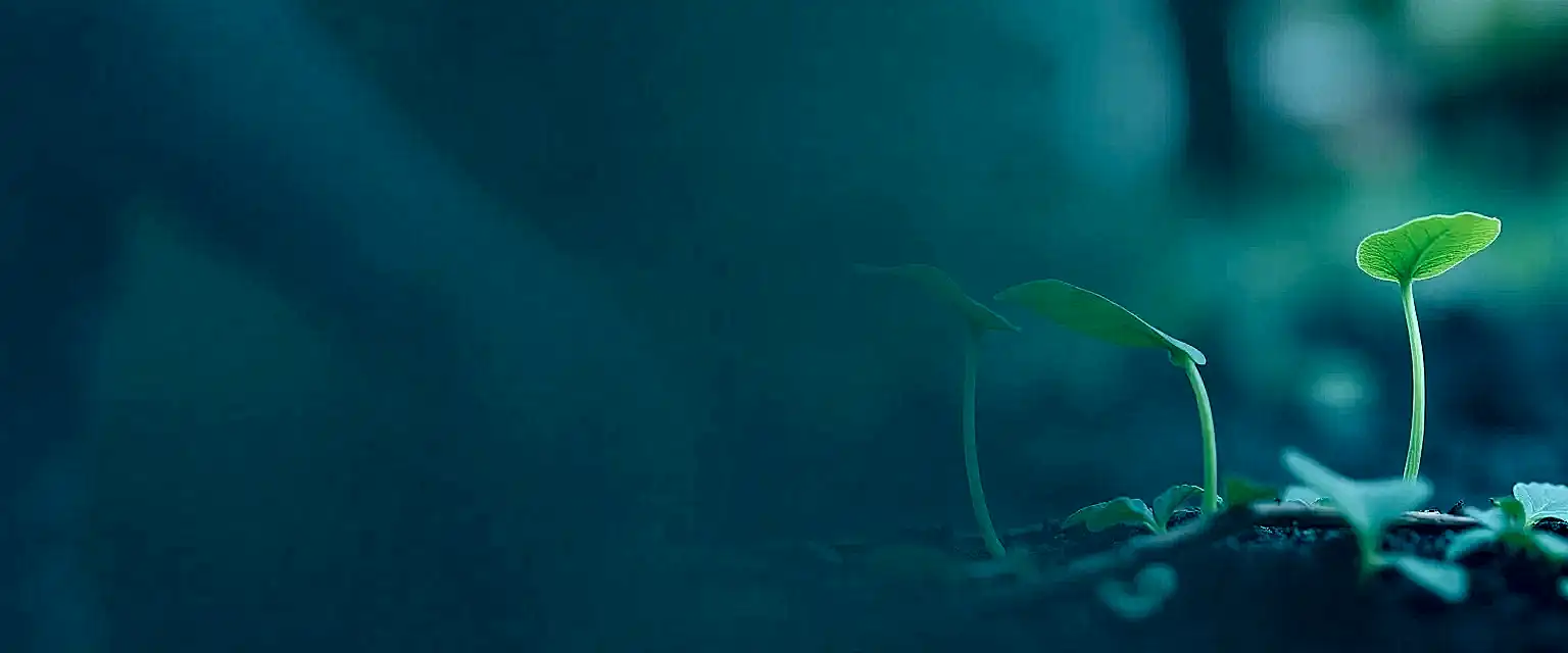 Çevre Danışmanlığı